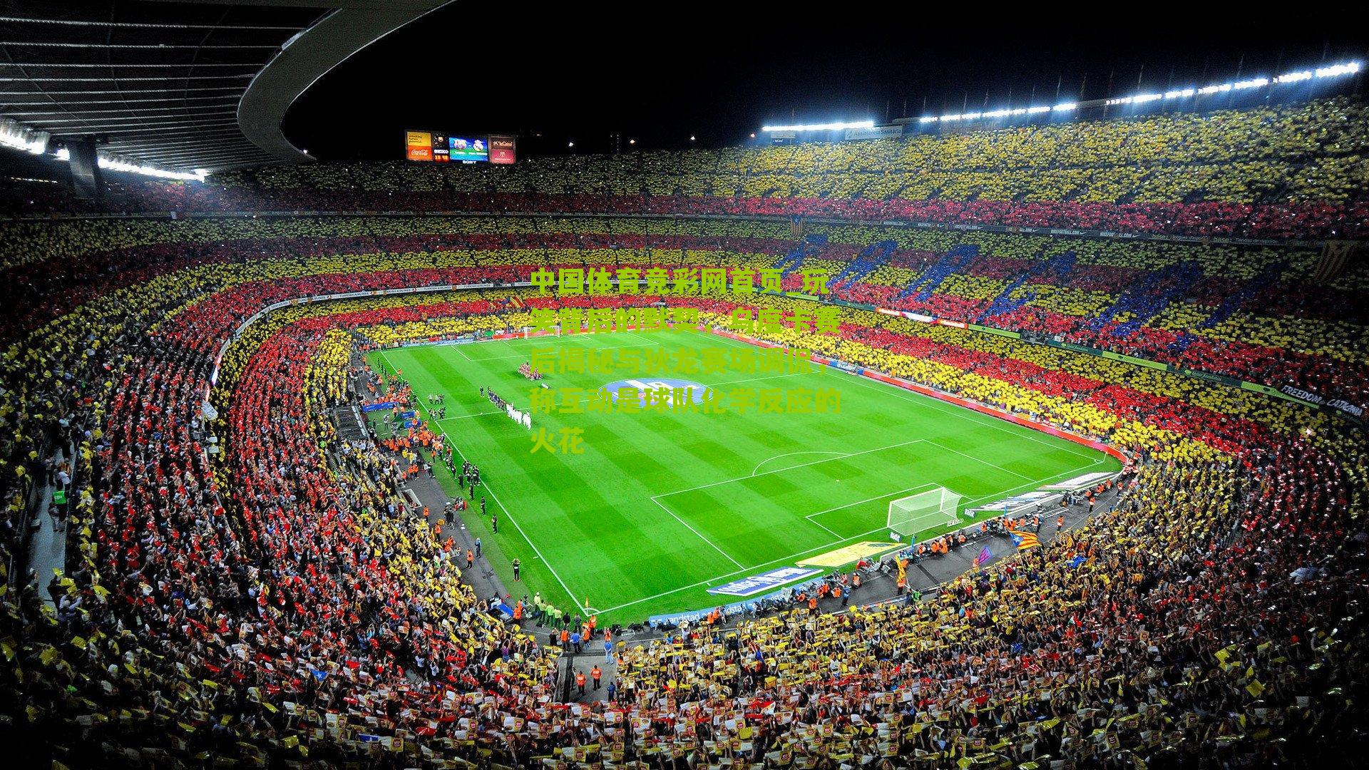 玩笑背后的默契，乌度卡赛后揭秘与狄龙赛场调侃，称互动是球队化学反应的火花