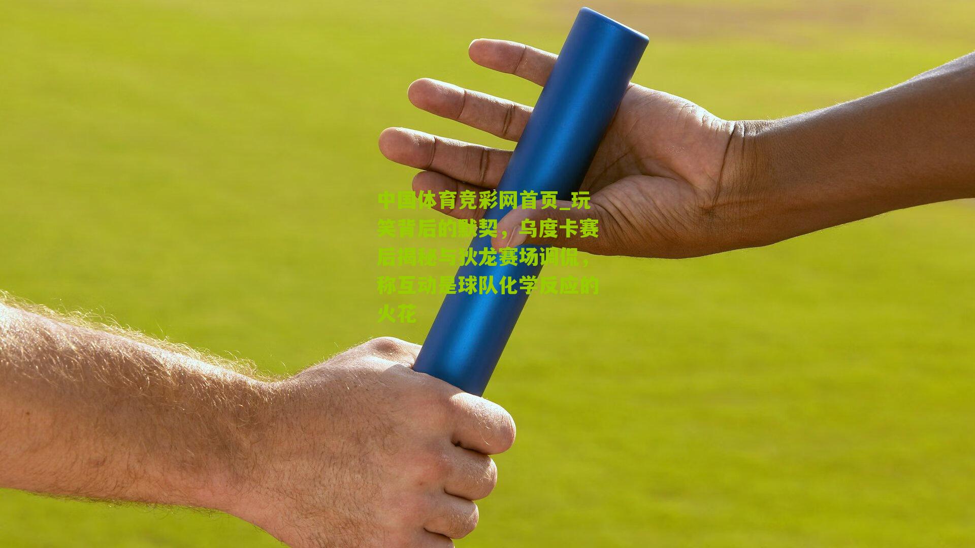 玩笑背后的默契，乌度卡赛后揭秘与狄龙赛场调侃，称互动是球队化学反应的火花