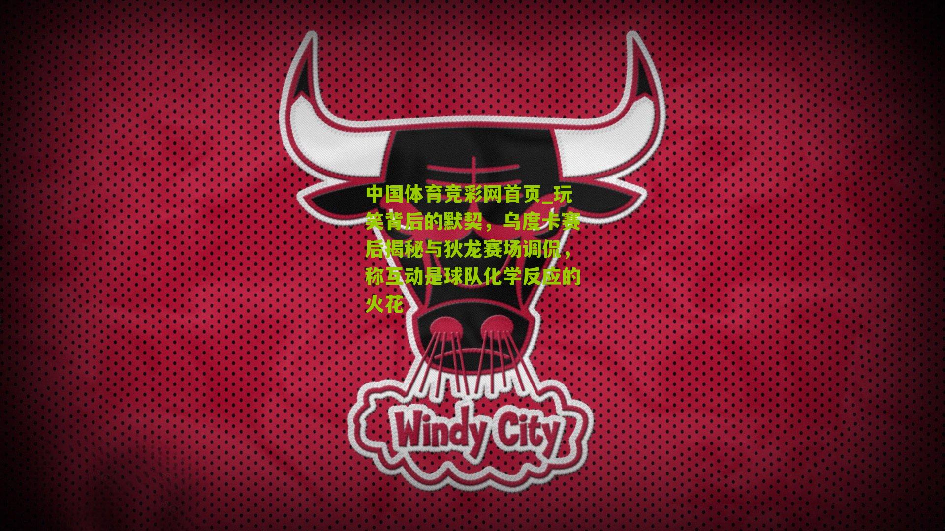 玩笑背后的默契，乌度卡赛后揭秘与狄龙赛场调侃，称互动是球队化学反应的火花