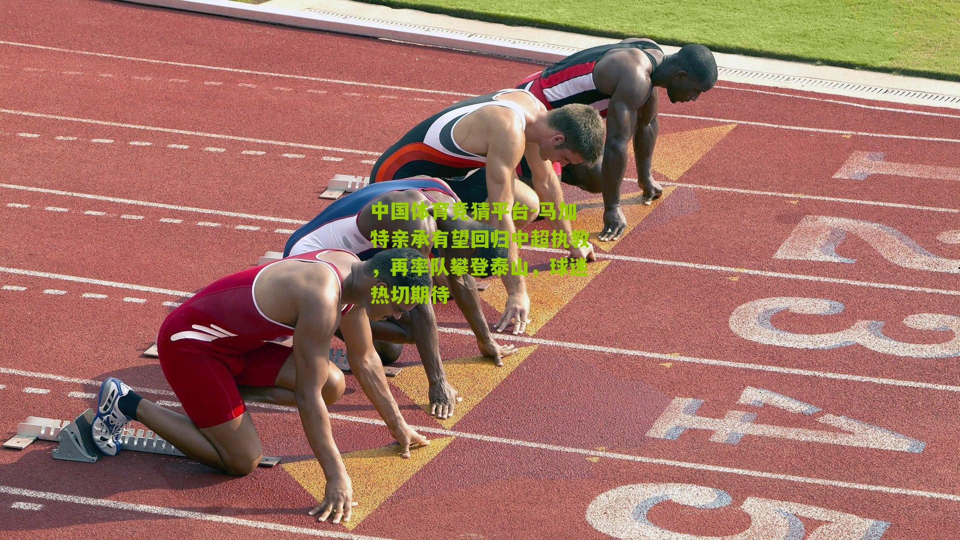 马加特亲承有望回归中超执教，再率队攀登泰山，球迷热切期待