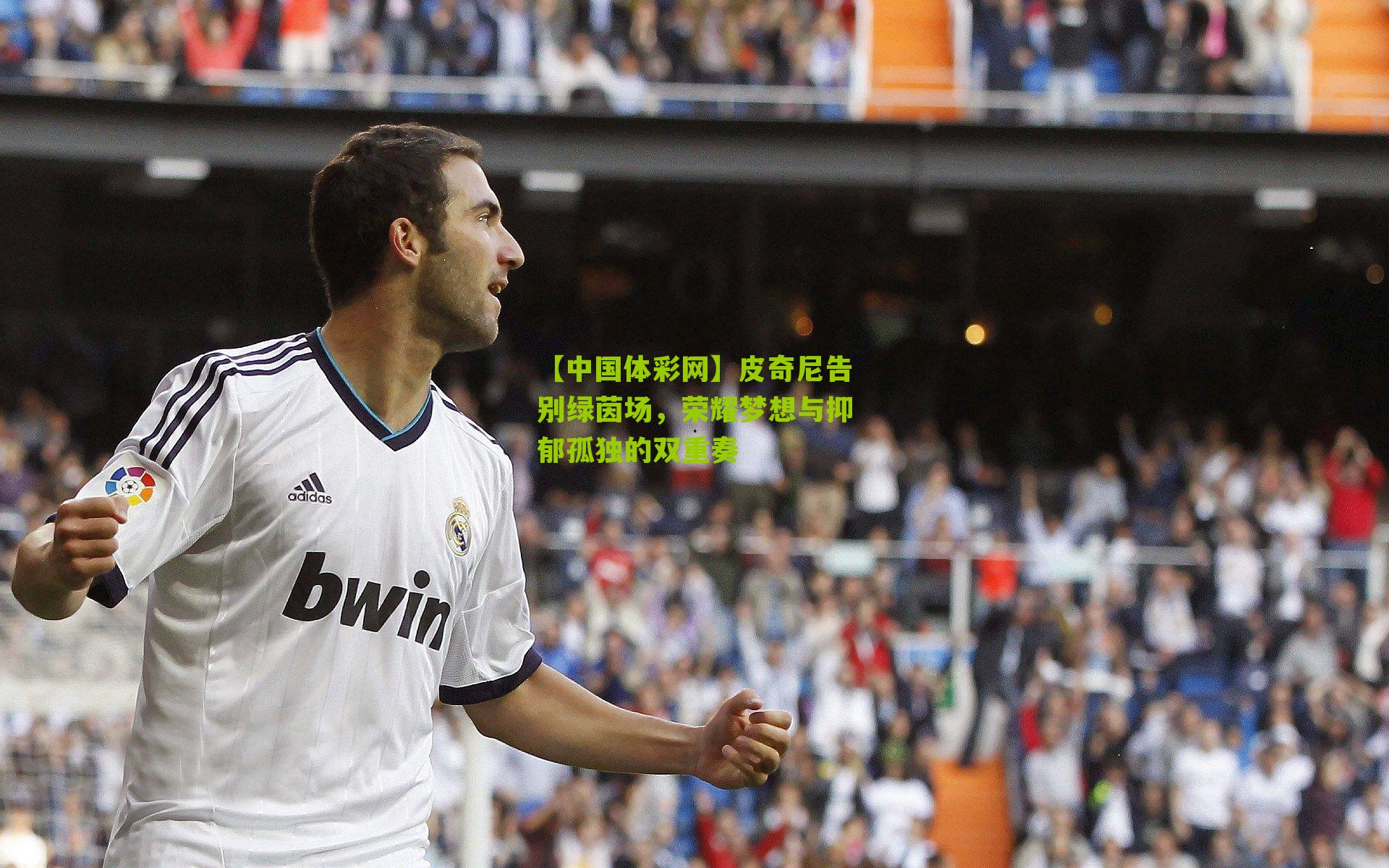 皮奇尼告别绿茵场，荣耀梦想与抑郁孤独的双重奏