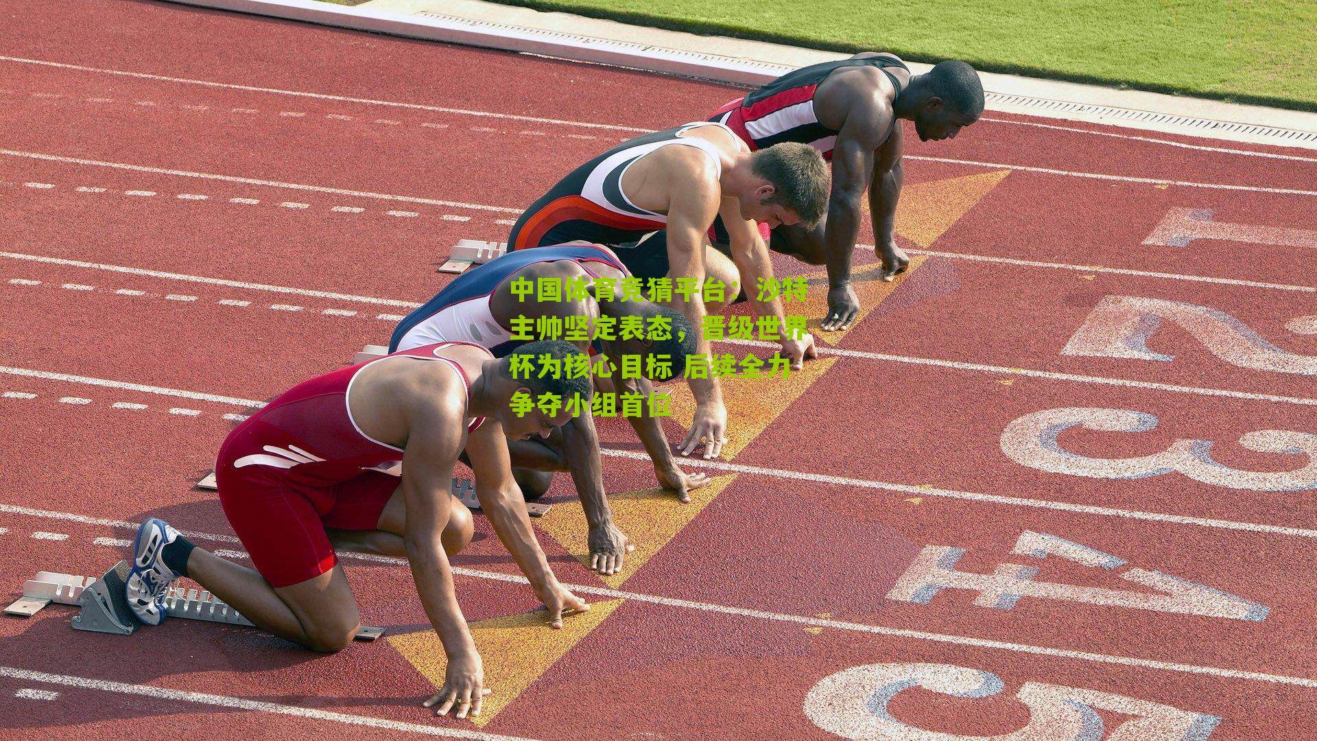 沙特主帅坚定表态，晋级世界杯为核心目标 后续全力争夺小组首位